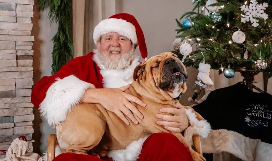 A cheerful man dressed as Santa Claus sits beside a decorated Christmas tree, smiling while holding a large tan dog on his lap in a cozy holiday setting.