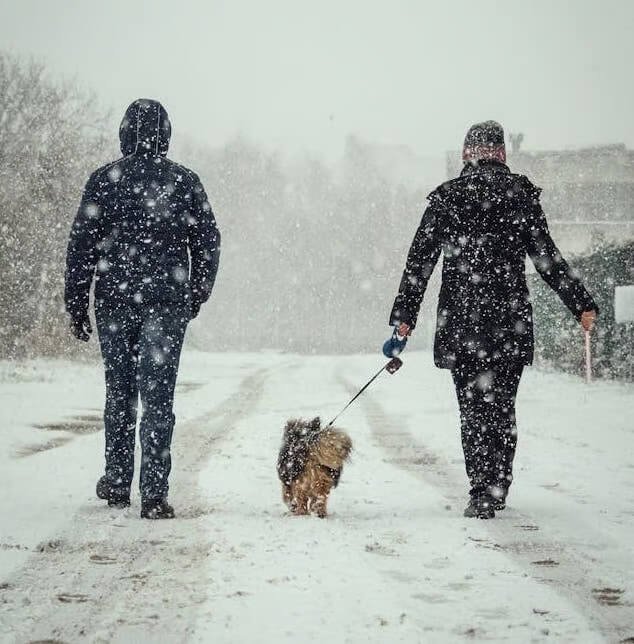 Two people walking a small dog on a snowy street during heavy snowfall, all bundled up in winter coats.